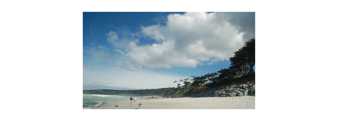image of Carme-by-the Sea beach, people and dogs walking on the sand