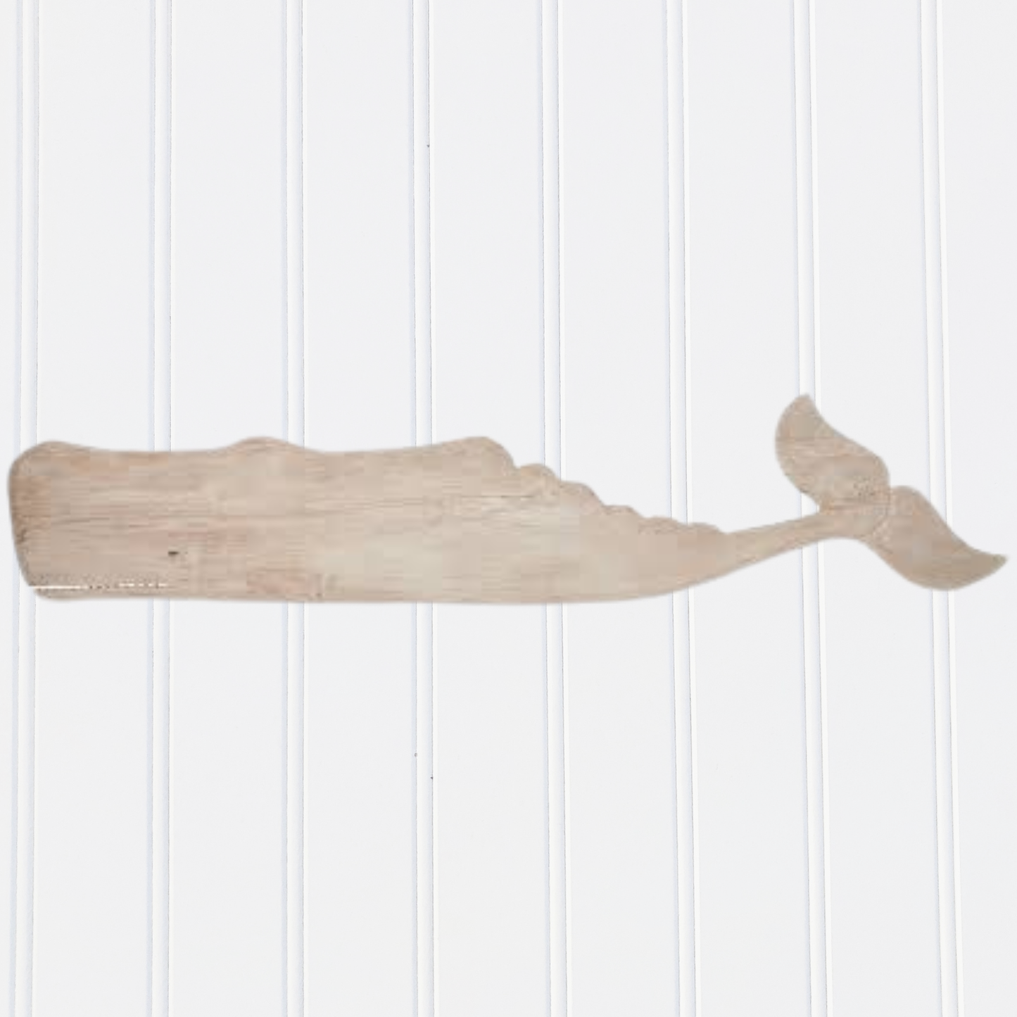 Mike Bacle | White Whale | Medium long