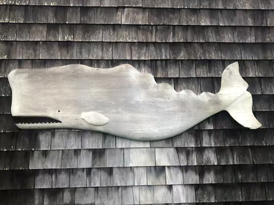 Mike Bacle | Whales