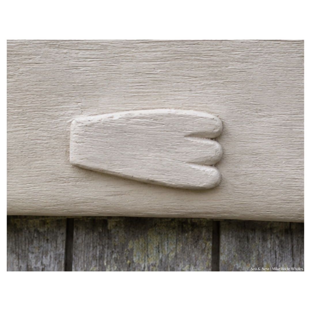 Mike Bacle | White Whale No. II