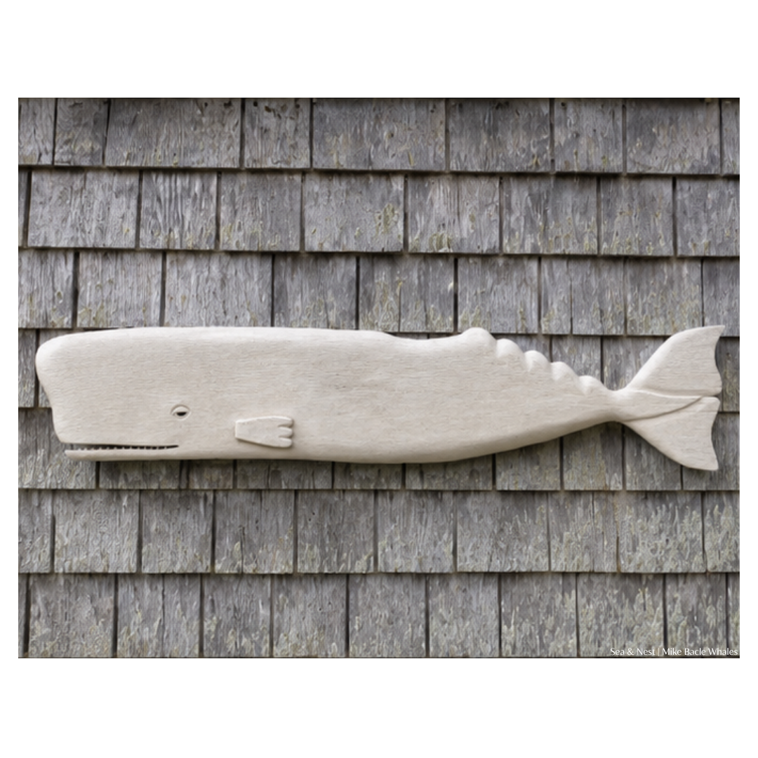 Mike Bacle | White Whale No. II