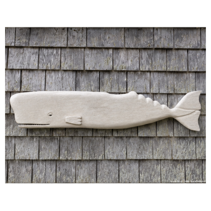 Mike Bacle | White Whale No. II