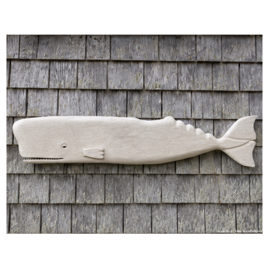 Mike Bacle | White Whale No. II