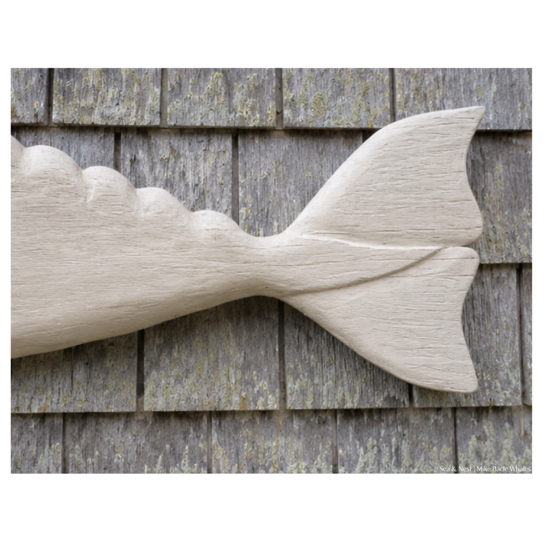 Mike Bacle | White Whale No. II
