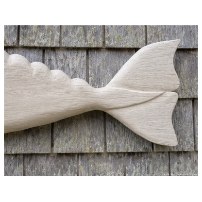 Mike Bacle | White Whale No. II