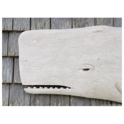 Mike Bacle | White Whale No. I