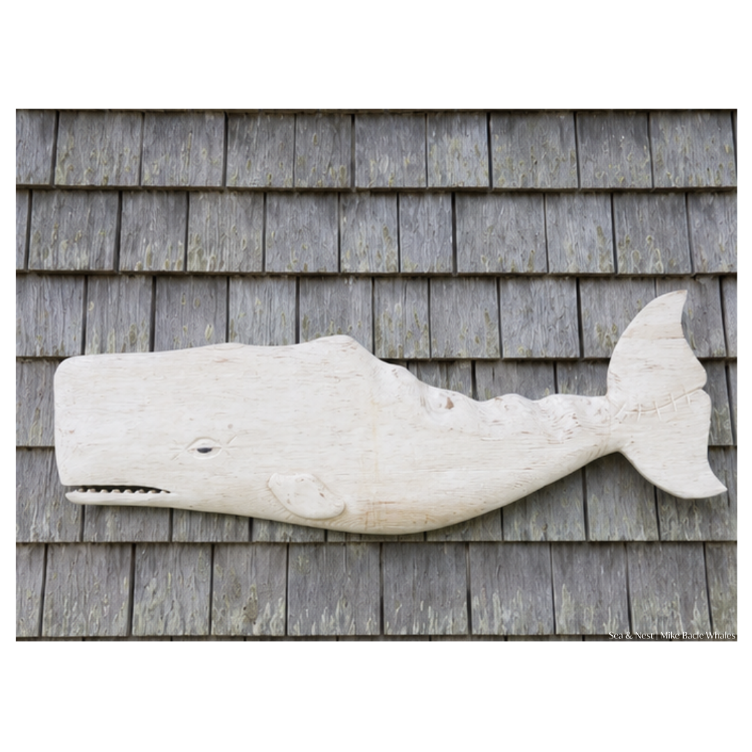 Mike Bacle | White Whale No. I