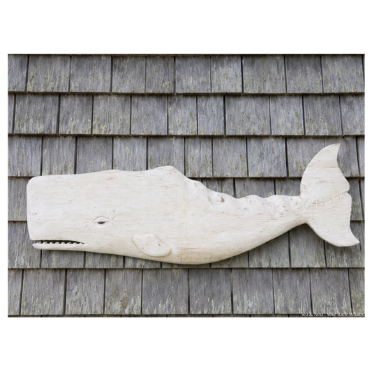 Mike Bacle | White Whale No. I