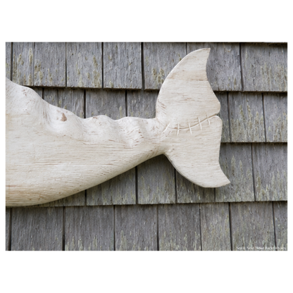 Mike Bacle | White Whale No. I