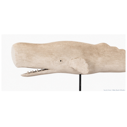 Mike Bacle |  Standing Carved White Whale