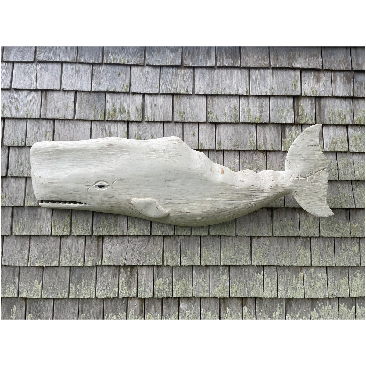 Wooden whale sculpture on a shingled wall